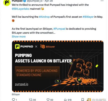 Bitlayer 生态项目盘点缩略图