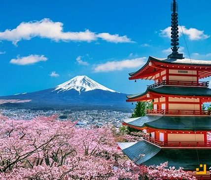 MIIX Capital：日本加密市场全景报告缩略图