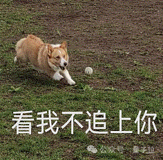 阿里云进军大模型一年,现在是开源第一名,CTO:闭源要超过所有开源模型才有机会参与讨论插图1 阿里云进军大模型一年,现在是开源第一名,CTO:闭源要超过所有开源模型才有机会参与讨论