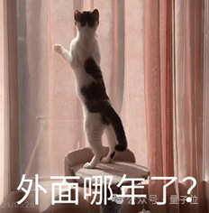 阿里云进军大模型一年,现在是开源第一名,CTO:闭源要超过所有开源模型才有机会参与讨论插图11 阿里云进军大模型一年,现在是开源第一名,CTO:闭源要超过所有开源模型才有机会参与讨论