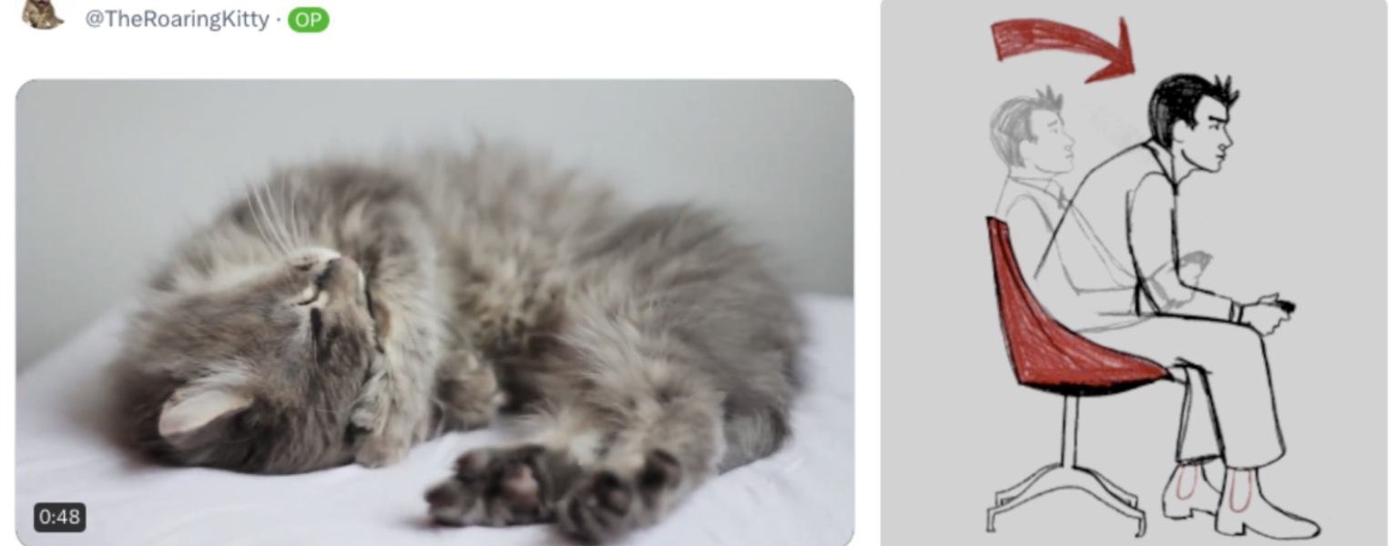 「散户之光」Roaring Kitty回归，同名Meme币一天暴涨百倍缩略图