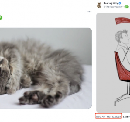 「散户之光」Roaring Kitty回归，同名Meme币一天暴涨百倍缩略图