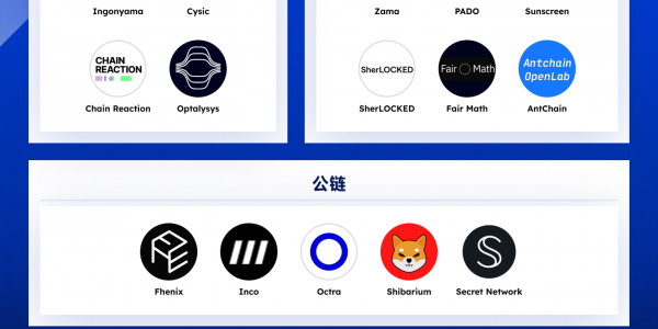 全览FHE赛道：25个值得关注的项目缩略图