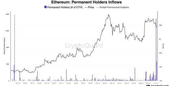 长期持有者（permanent holders）地址6月13日增持29.8万枚以太坊，约13.4亿美元，创下单日历史第二高值缩略图