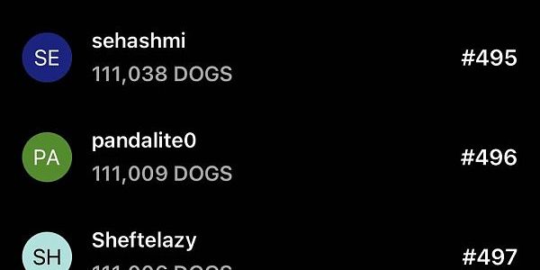两天订阅人数破250万：DOGS 空投却可能不值一顿猪脚饭缩略图