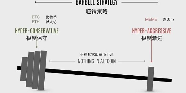 本轮牛市用哑铃策略能赚钱吗？缩略图