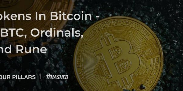 深度解析wBTC、Ordinals和Runes发展现状缩略图
